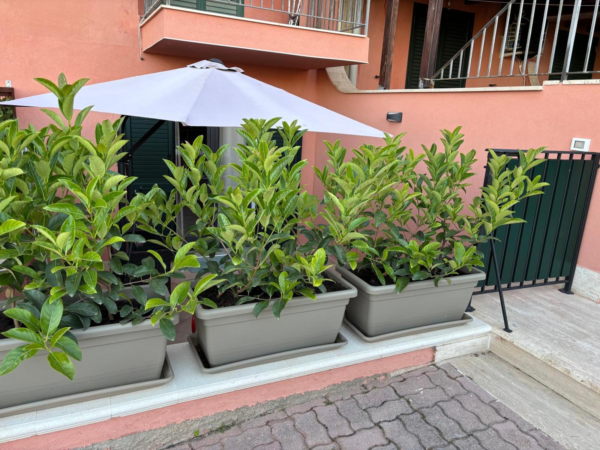 Casa Vacanza Scala Dei Turchi Realmonte Exteriér fotografie